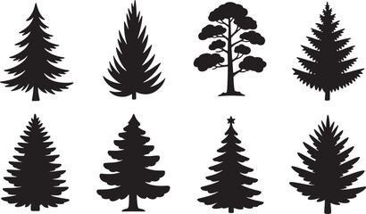 Set of eight pine and fir coniferous tree silhouettes isolated on white background for landscape design forest graphics. Vector Illustration © MstSahida