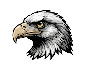 Obraz premium Eagle head illustration portrait against dark background
