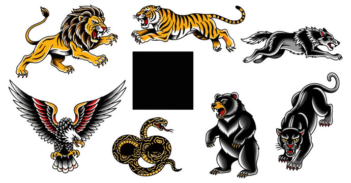Wildlife illustration set featuring lion tiger eagle snake bear and panther