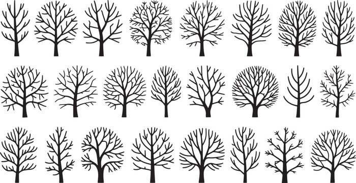 Collection of twenty four different deciduous tree silhouettes without leaves for autumn or winter forest environment. Vector Illustration