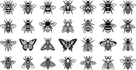 Fototapeta premium Black and White Line Art Glyph Icons Set: Diverse Collection of Bees, Butterflies, and Moths. Detailed Insect Nature and Entomology Vector Illustrations.
