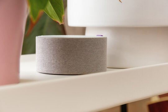 Sleek grey smart speaker sitting on a white shelf with indoor plants. Modern voice assistant technology for home automation