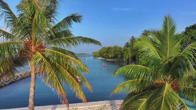 Aerial view of palm trees framing a calm turquoise lagoon with small boats and a stone breakwater in Kendhoo, Baa Atoll, Maldives.