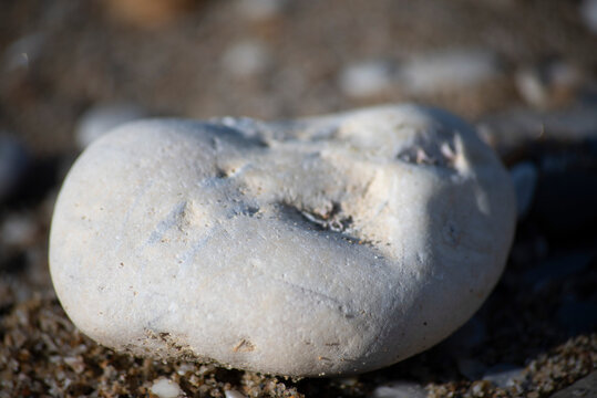 White pebble on a sandy beach