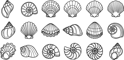 Black and White Line Art Collection of Various Seashells and Conch Shells © victoria