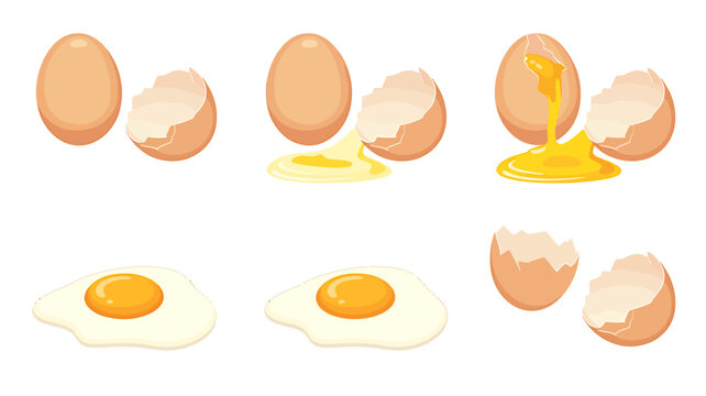 Eggs and egg yolks in various states of being cracked open