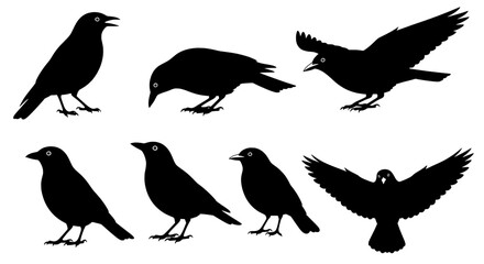 Fototapeta premium Bird silhouette icon set with flying and standing poses, black wildlife artwork for logo, web, and educational designs