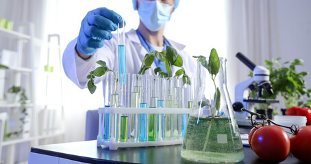Plakat Male agricultural engineer with plant samples on table in laboratory, closeup