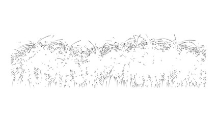 Stylized drawing of curved grass stems bending over on a transparent background. © Sara Studio