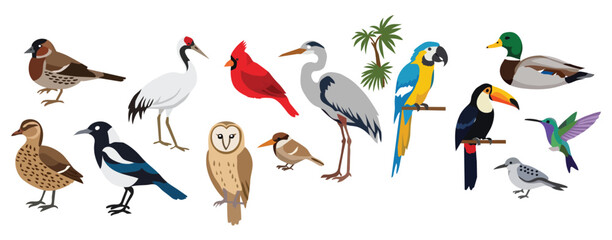 Fototapeta premium Collection of various bird species including parrot, toucan, owl, duck, cardinal, crane, and hummingbird in a flat vector style