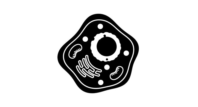Black and white cell diagram on white background for science and biology