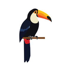Obraz premium Vector illustration of a colorful toucan bird perched on a branch
