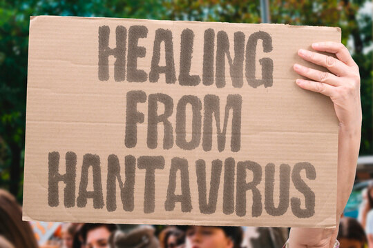 "Healing From Hantavirus" Survivors of hantavirus pulmonary syndrome often face prolonged respiratory recovery periods. SURVIVORS. PULMONARY. SYNDROME. PROLONGED. RESPIRATORY.