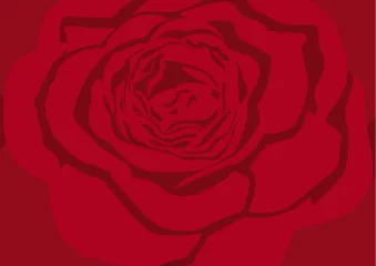 rose flower red pattern design background illustration vector © nantana