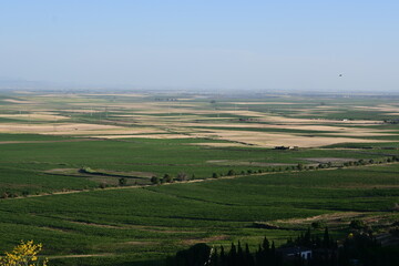 Fototapeta premium landscape with green fields in the south of spain