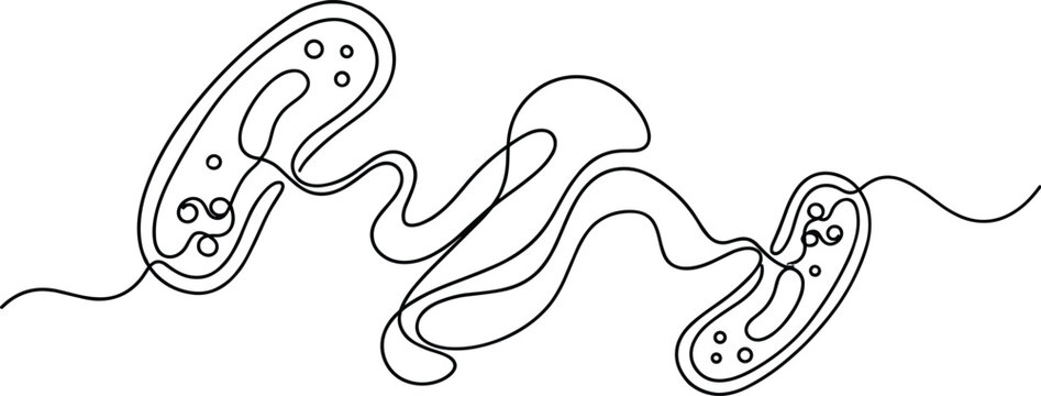 Bacteria connection continuous line drawing, microbial communication DNA vector illustration, biology artwork design graphic - black and white minimal illustration