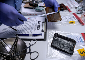 Specialised police officer measures wallet in crime lab, conceptual image © digicomphoto