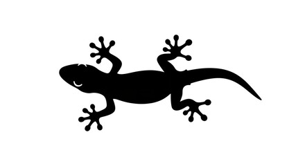Fototapeta premium Black silhouette of lizard crawling.