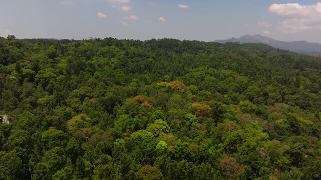 Forest with western ghats, sky and clouds at suntikoppa village, coorg, Kodagu, Karnataka, India. day time, push in shot, drone shot, 4k.
