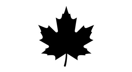 Fototapeta premium Black silhouette of maple leaf.