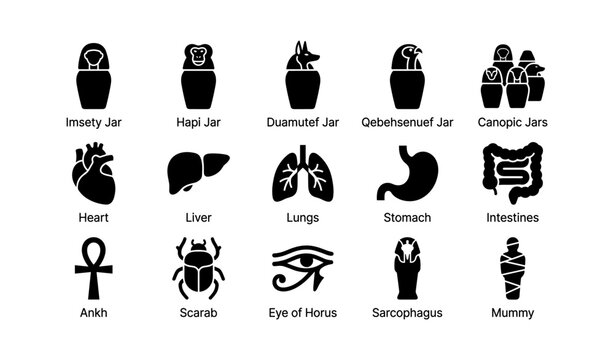 Canopic jar icons and organs with egyptian symbols on white background