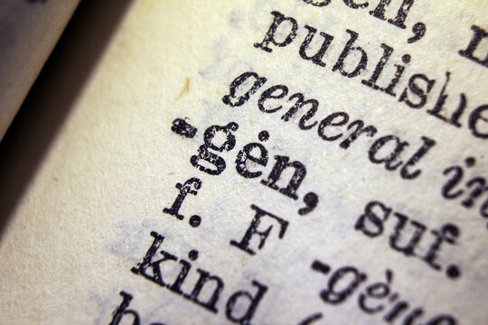 Word gen on dictionary page, macro close up