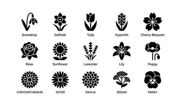 Various flower icons arranged in rows on white background