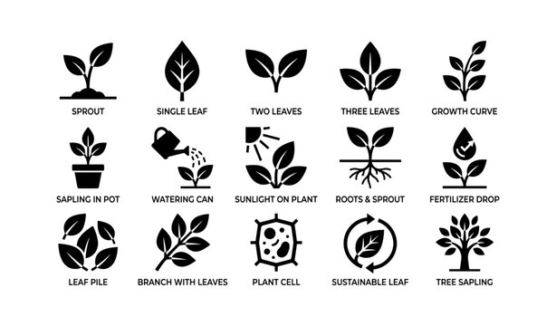Plant growth and sustainability icons showing leaves roots and tree
