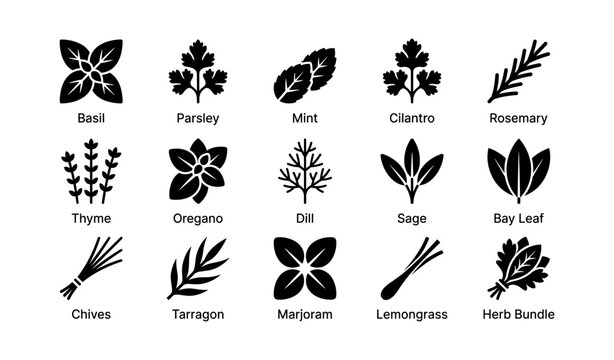 Herb and leaf icons displayed as labeled grid of varieties