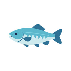 Fototapeta premium Illustration shows fish with fins and tail in light blue color scheme, isolated on white, in a simple, flat design.