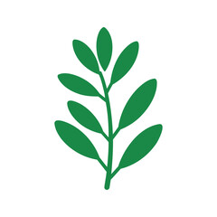Fototapeta premium Green leafy branch with symmetrical leaf arrangement, ideal for simple botanical design