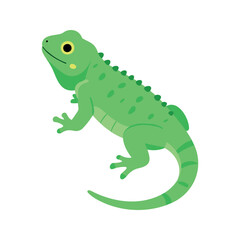 Fototapeta premium Cartoon illustration of a green lizard with a striped tail on a white background