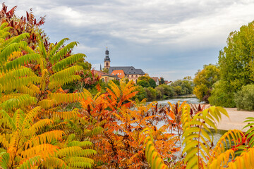 Fototapeta premium Scenic view of autumn leaves by the river with buildings in the background and cloudy sky overhead