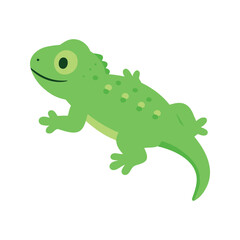 Fototapeta premium Green gecko with a spiky back and dark-rimmed eye stands on a white surface, looking to the left with a slight smile.