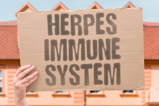 "Herpes Immune System" A compromised immune system can cause more frequent and severe herpes outbreaks. COMPROMISED. FREQUENT. SEVERE. OUTBREAKS. SYSTEM.