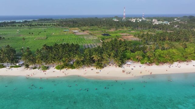 Aerial view of the white sandy beach and turquoise waters with people swimming and lush green agricultural fields Thoddoo, Alif Alif Atoll, Maldives.