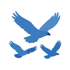 Fototapeta premium Three birds soar in formation against a crisp white background, their blue plumage vibrant