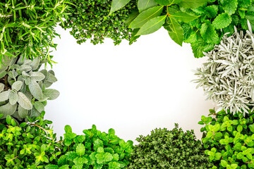 Obraz premium Fresh herbs surround a blank space on a white background for cooking or gardening activities