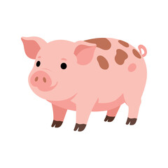 Fototapeta premium Illustration of a cute piglet standing with a curly tail and brown spots