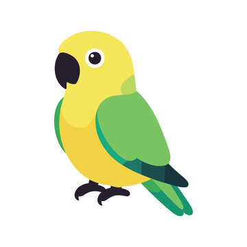 Cute golden parakeet illustration with yellow and green feathers