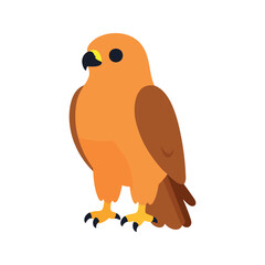 Fototapeta premium Falcon bird of prey stands with its feathers, and the bird has sharp talons for grasping and hunting smaller animals.