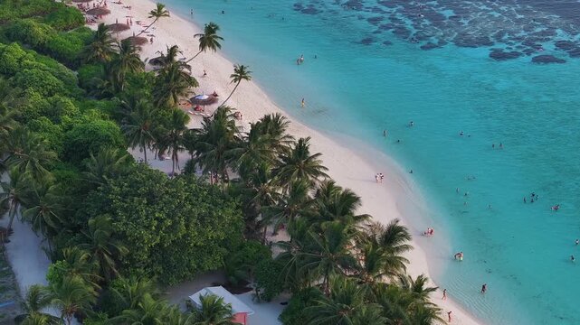 Aerial view of a tropical beach with white sand, palm trees, and people swimming in turquoise waters over coral reefs in Thoddoo, Alif Alif Atoll, Maldives.