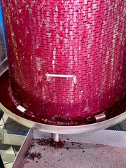 Obraz premium Close-up view of Barbera grapes being gently pressed, with rich red juice flowing through the wine press