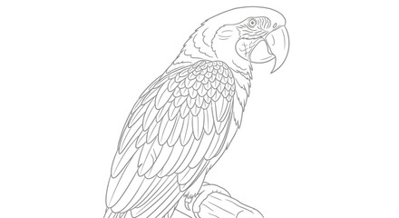 Fototapeta premium Line art illustration of a colorful parrot perched on a branch against white