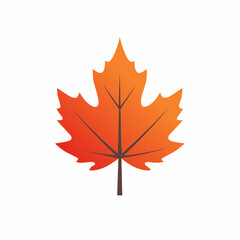 Fototapeta premium Autumn Maple Leaf Icon