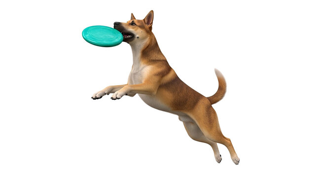 Dog catching a frisbee mid-air