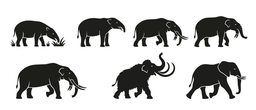 Elephant Mammoth Silhouette Set, Ancient Prehistoric Animal Icons, Isolated Black Vector Collection on White Background, Wildlife Evolution Stages, Zoological Graphic Design Elements, Mammal Profile F