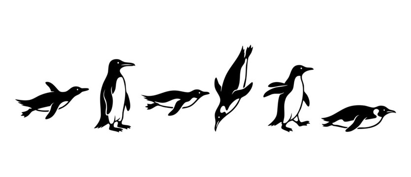 Penguin silhouette set, collection of swimming and standing penguins, isolated vector graphic design for wildlife illustration, black and white arctic bird icons in various active poses for creative p