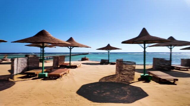Panoramic view of empty beach in the morning with sun loungers, umbrellas and palms on a sunny day near Marsa Alam in Egypt, Africa