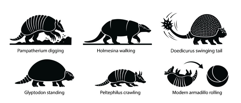 Prehistoric Armadillo Species Silhouette Collection Set, Ancient Glyptodontidae Animals Including Pampatherium, Doedicurus and Modern Armadillo Rolling Isolated Icons for Paleontology and Zoology Educ